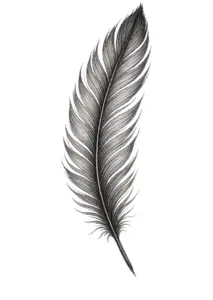 elegante-feder-mit-feinen-linien-fuer-nacken-und-hals