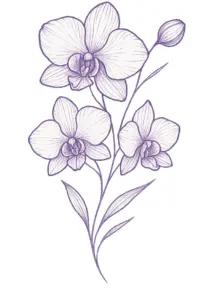 elegante-orchidee-mit-zarten-blueten-und-feinen-linien