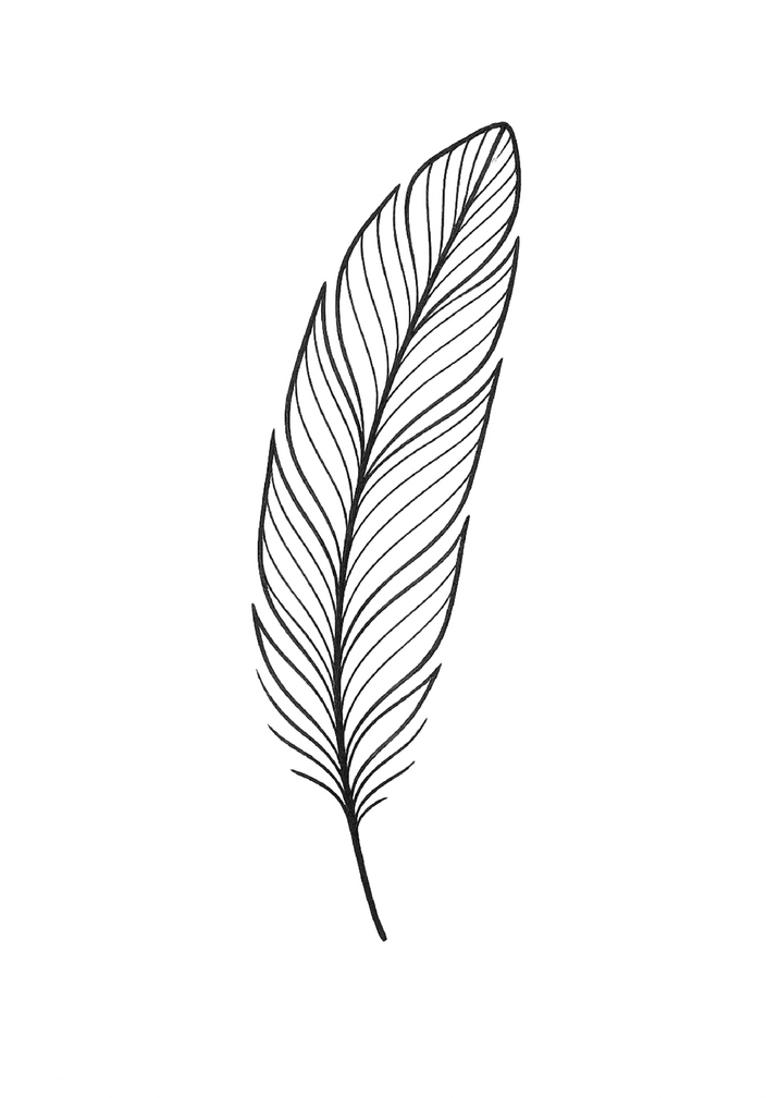 Tattoovorlage elegante Feder mit feinen Linien