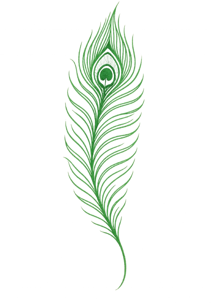 Tattoovorlage elegante Pfauenfeder mit feinen Linien
