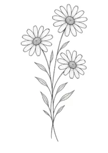 tattoovorlage-gaenseblaemchen-mit-feinen-linien-harmonische-anordnung