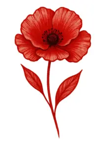 tattoovorlage-mohnblume-mit-kraeftigen-bluetenblaettern