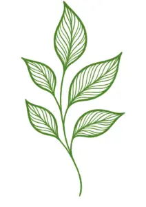 tattoovorlage-stilisierte-pflanzen-mit-filigranen-blaettern